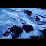 The Swell