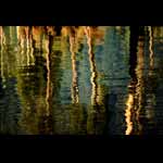 Reflections II