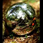 Natures Being