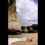 Cathedral Cove III