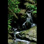 Kaikoura Stream