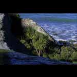MacIntosh Bay