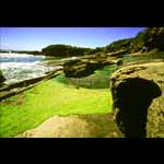Trumans Beach - greem slim
