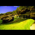 Trumans Beach - greem slim II