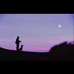 Man & Dog - Waikuku Beach